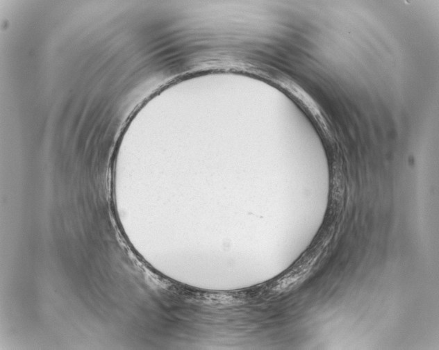 X0000087030807200705071533