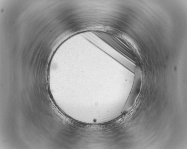 X0000087030808200705071533