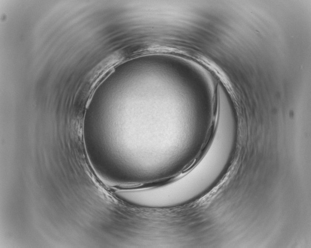 X0000087030809200705071533