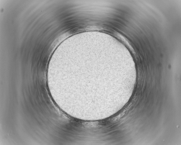 X0000087030810200705071533