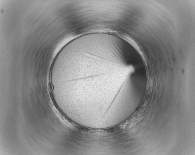 X0000087030811200705071533