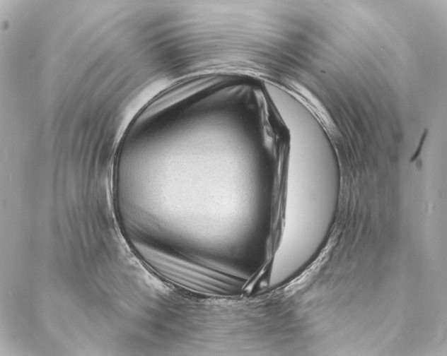 X0000087030812200705071533