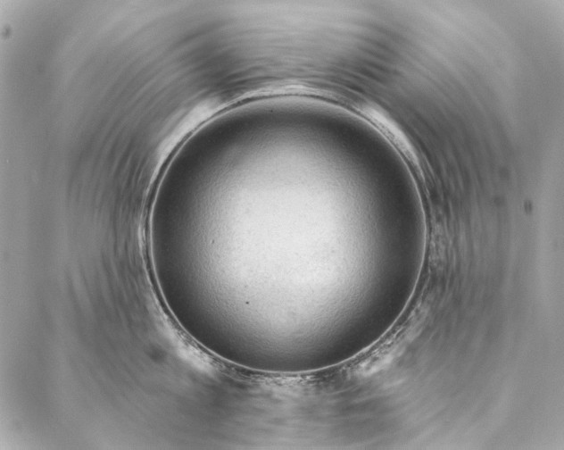 X0000087030813200705071533