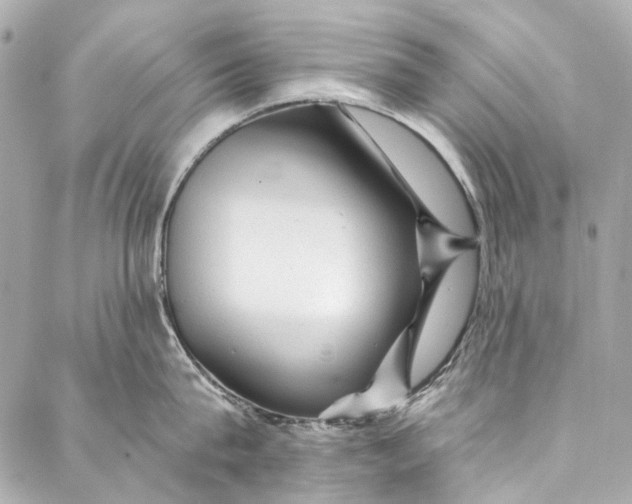 X0000087030815200705071533