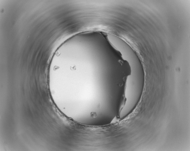 X0000087030816200705071533