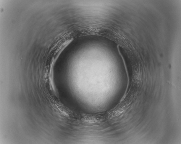 X0000087030818200705071532