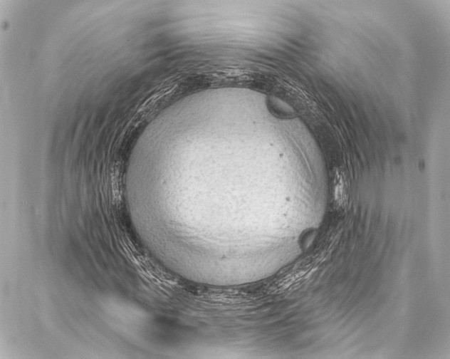 X0000087030819200705071532