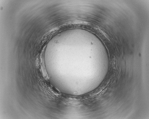 X0000087030821200705071532