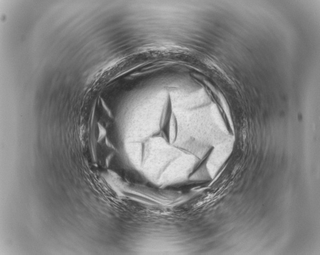 X0000087030822200705071532