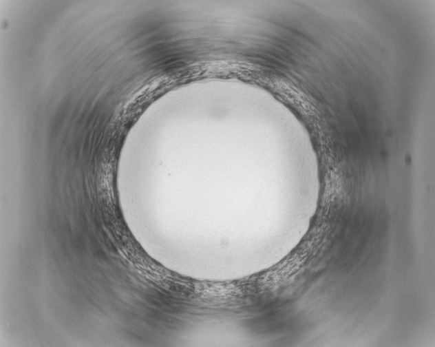 X0000087030824200705071532