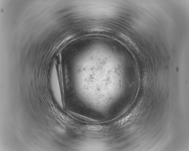 X0000087030825200705071532