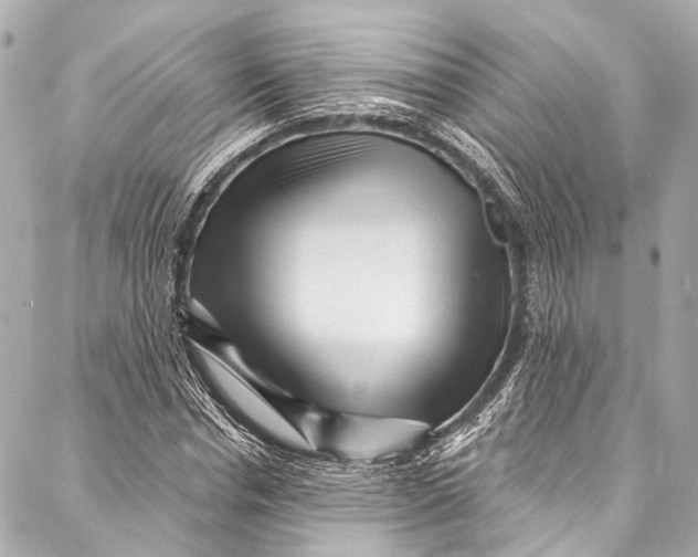 X0000087030826200705071532