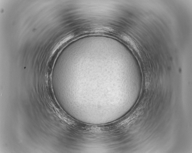 X0000087030827200705071532