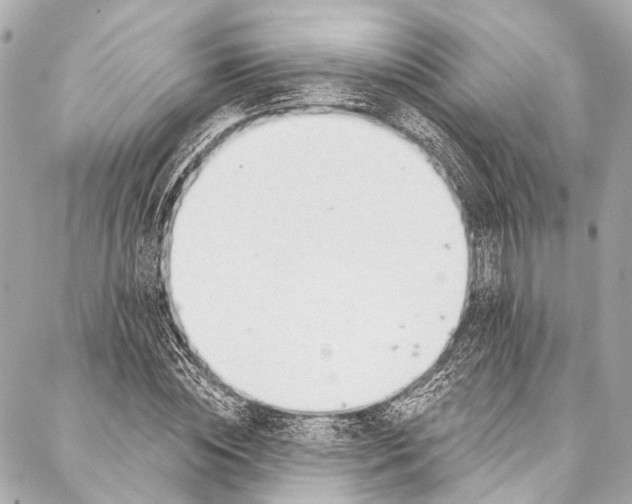 X0000087030828200705071532