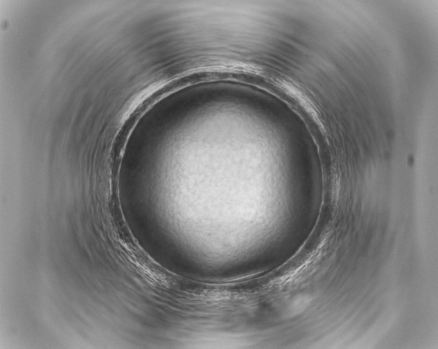 X0000087030829200705071532