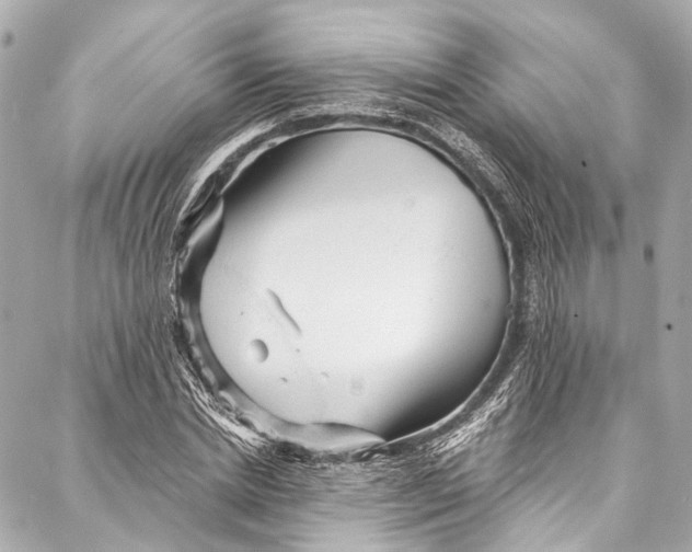 X0000087030830200705071532