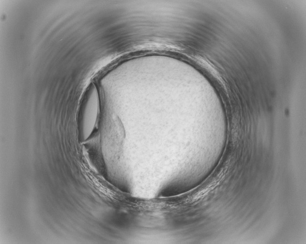 X0000087030831200705071532