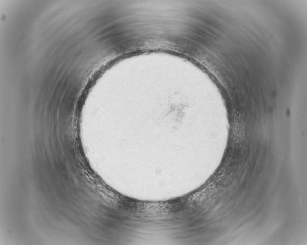 X0000087030832200705071532