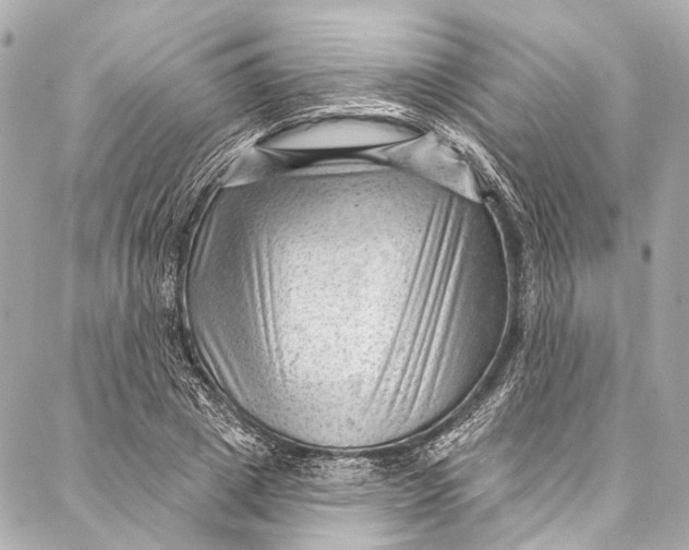 X0000087030833200705071532