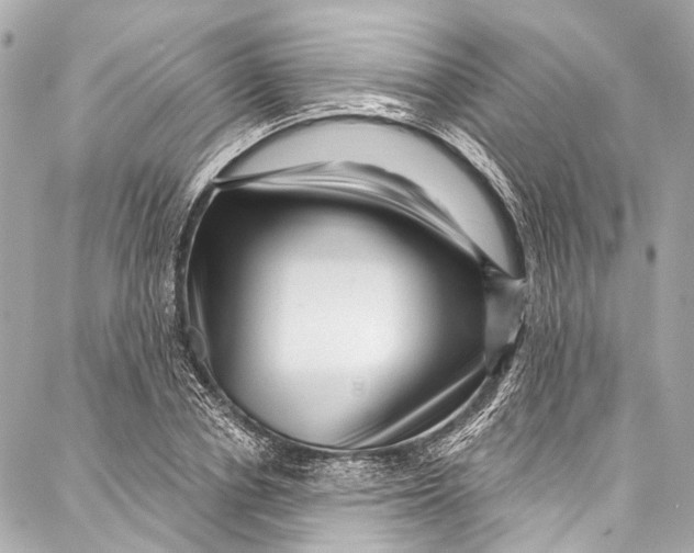 X0000087030834200705071532