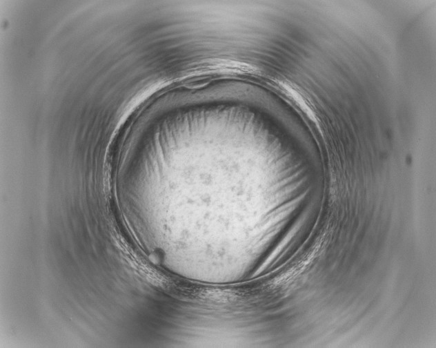 X0000087030835200705071532