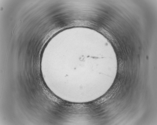 X0000087030836200705071532