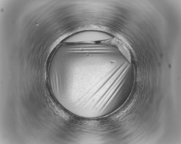 X0000087030837200705071532