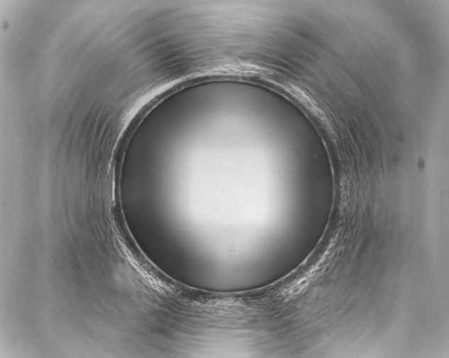 X0000087030838200705071532