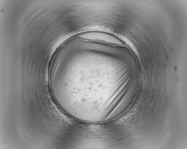 X0000087030839200705071532