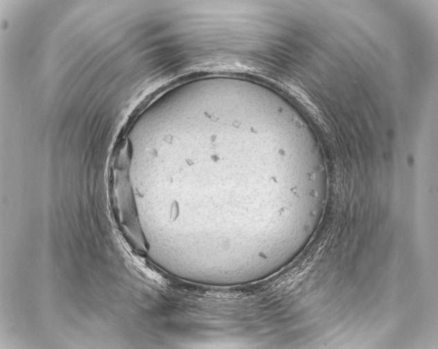 X0000087030840200705071532