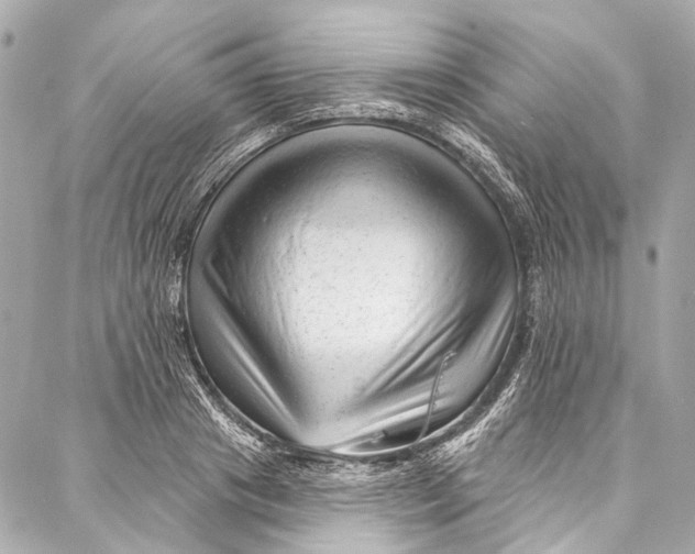 X0000087030841200705071532