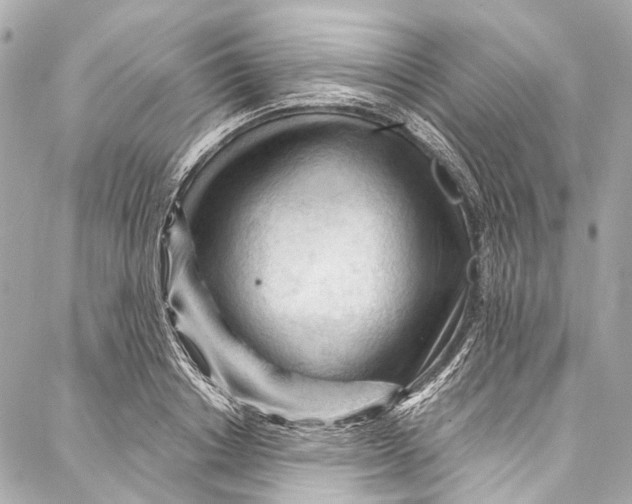 X0000087030842200705071532