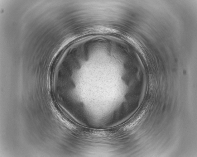 X0000087030843200705071532