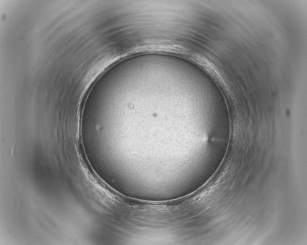 X0000087030844200705071532