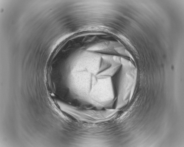 X0000087030846200705071532