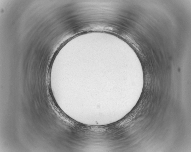 X0000087030848200705071532