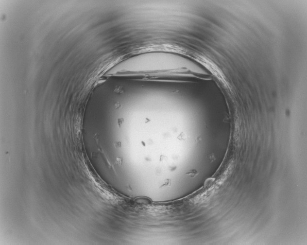 X0000087030849200705071532