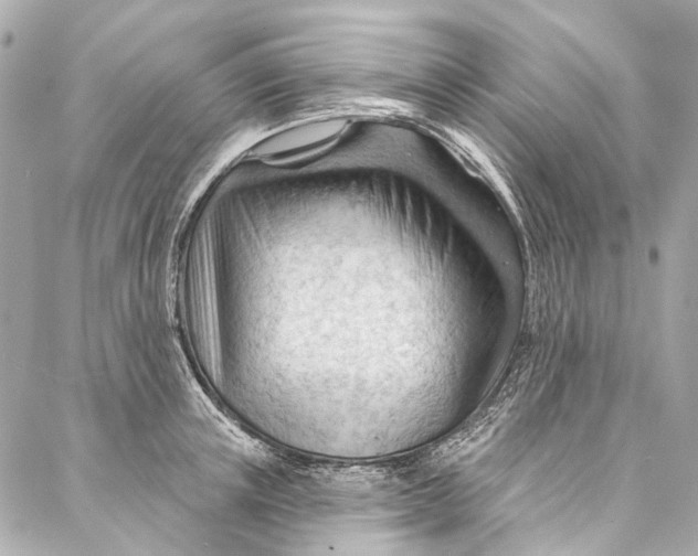 X0000087030851200705071533