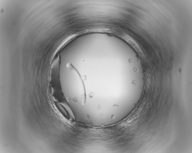 X0000087030852200705071533