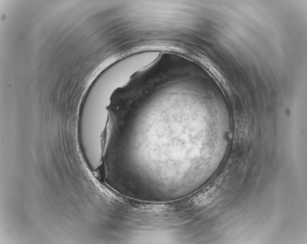 X0000087030853200705071533