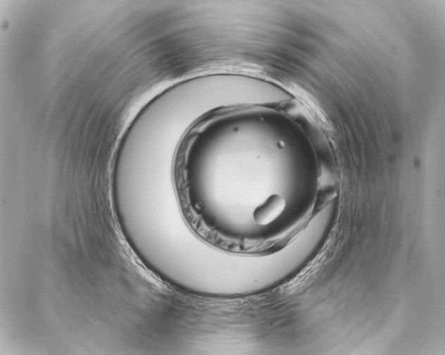 X0000087030854200705071533