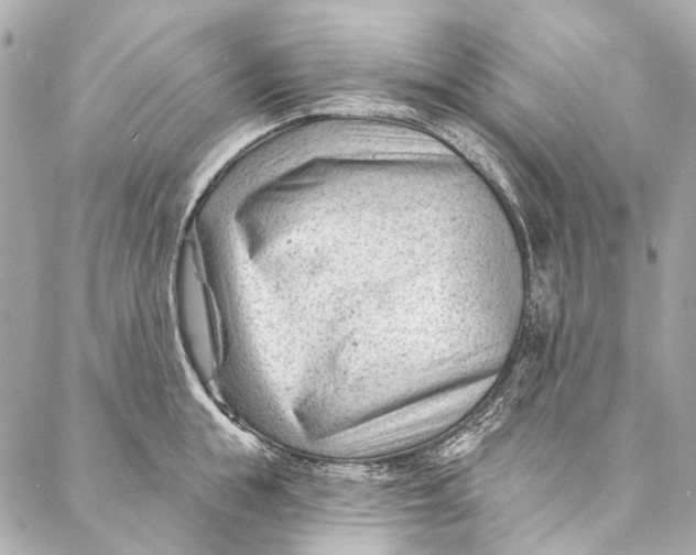 X0000087030855200705071533