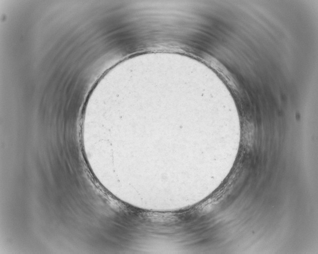 X0000087030856200705071533