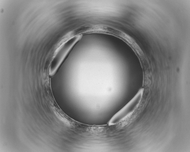 X0000087030858200705071533