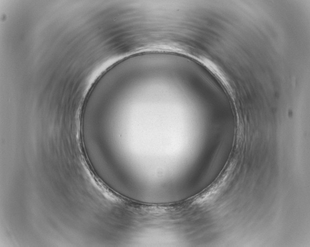 X0000087030862200705071533