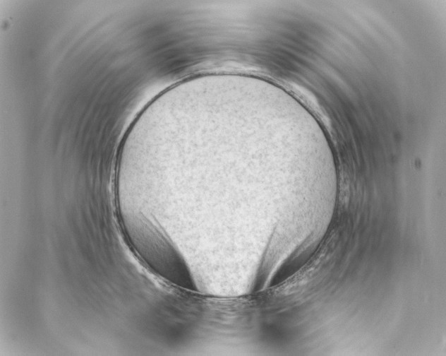 X0000087030863200705071533