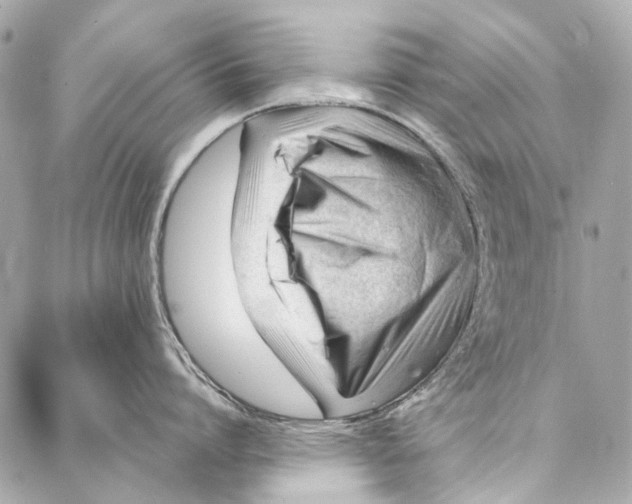 X0000087030864200705071533