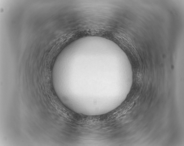 X0000087030865200705071532