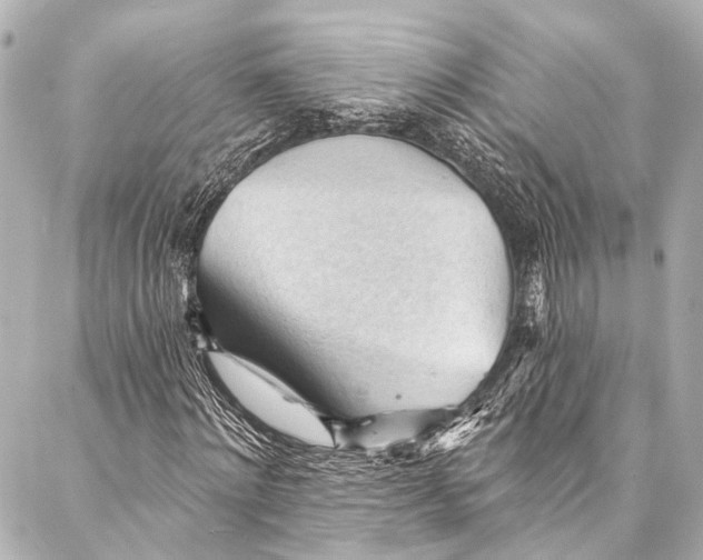 X0000087030868200705071532