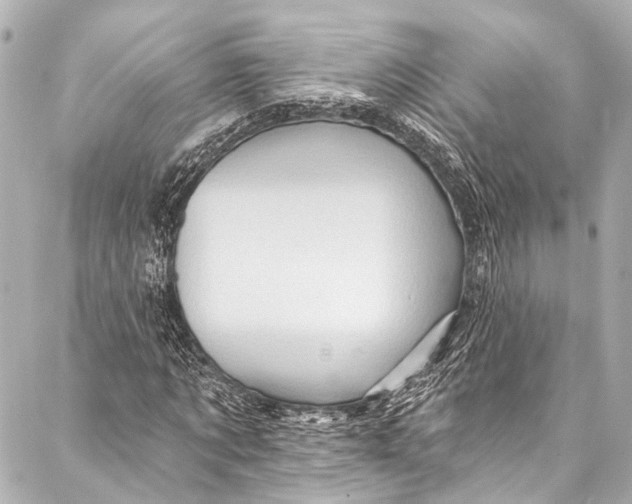 X0000087030869200705071532